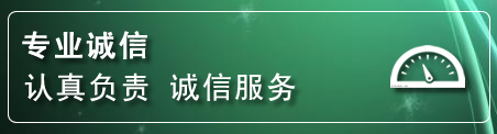 汤原建网站公司